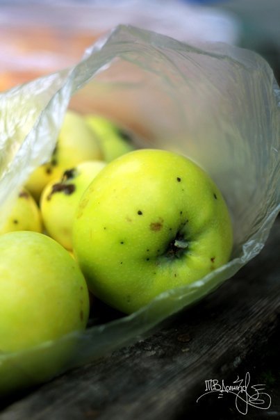 Фотовиставка Тетяни Должко